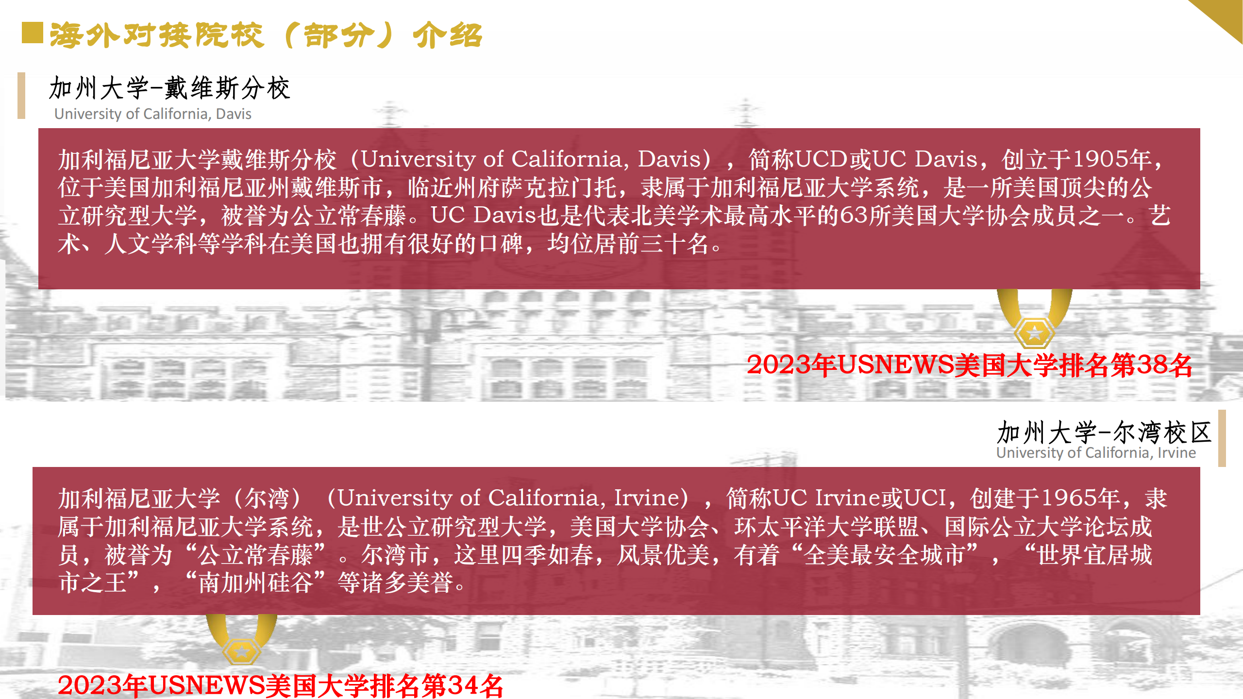 2024年上海交通大学国际本科招生宣讲_11.png
